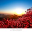 천주산 등산로 이미지