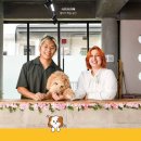 해피독 트레이닝스쿨 이미지