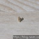 포샤르치과의원 이미지