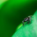 신화 행정사 사무소 이미지