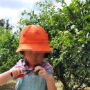 금오름농장 이미지