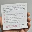터틀베어