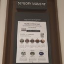 아트전자타운 | 스타벅스 더춘천의암호R점 미디어아트 구경하고 스페셜매장메뉴 먹은 후기 춘천여행추천