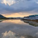 태양을향하여 이미지