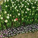 영진철물 이미지