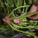 우빈농장 이미지