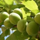 도자기(저녁) 이미지