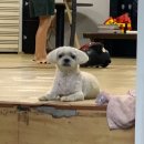 한일산장 | 우이동 백숙맛집(한일산장)