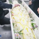 장례식장평화원