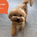 쥬만지동물의료센터