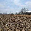 복福부동산공인중개사사무소 이미지