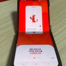 러브리독 이미지