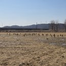 당동배수펌프장 이미지