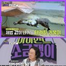 소금쟁이 - 경주시 나아2길 7-4 | 소금쟁이