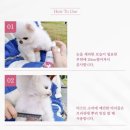네추럴 그루밍 | 강아지피부미스트는 아인솝 네추럴그루밍미스트. 애견필수템지정!!