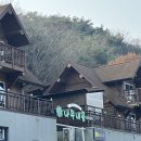 대천나무내음펜션 | [충남/보령] 숲속 산장에 온 듯, 아늑하고 포근했던 보령 대천나무내음펜션 1박 2일