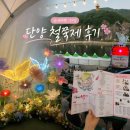 단양여행 일기 2026 철쭉제 후기 단양구경시장 달기우리 흑마늘닭강정