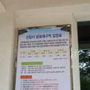 전남 순천 가볼 만한 곳 / 순천 선암사 / 순천 선암사 산책 / 금목서, 은목서 구경도~♡ / 선암사 가는...