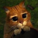 장화신은고양이 이미지