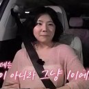 부기먼트