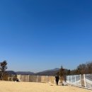 방도리힐스A