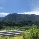 산청군농협하나로마트덕산 이미지