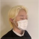 헤어볼하우스 이미지