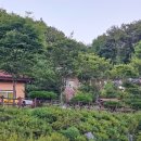 데미옆골 이미지