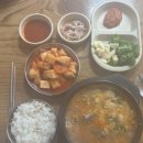 청주 순대국밥 맛집 동호곱창 후기