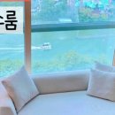 스테이 소운 이미지