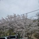 언덕위의 집 | 백숙을 먹을 수 있는 곳, 대구 수성구 산 속 백숙 맛집 &#39;언덕위의 집&#39; (옻닭, 닭도리탕, 닭백숙 후기)