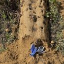 당촌리카메 이미지