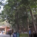 백양산 바람고개 이미지