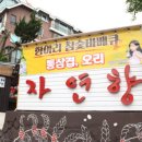 자연오리 이미지