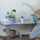 마이오운가든(My own garden) | [영등포 / 선유도 카페] 찐 또또간집, 디저트 처돌이의 방앗간 '마이오운가든' (my own garden) 🍰🤍
