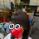 #봄헤어 이미지
