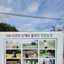 동말골농장 네이버블로그