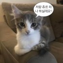예거당구장 | 그렇게 살아가는 것