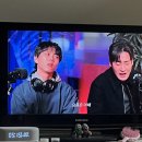 마벨펫 천안점 | 23년 7월 첫 주말 일상