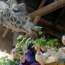 서울대공원노동조합 이미지