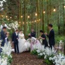 제이제이갤러리카페펜션 | 제주 스몰 웨딩) 우당탕당 숲 속 작은 결혼식 후기 Feat 메이크 웨딩, 더 갤러리 펜션