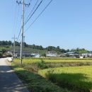 대조2리 이미지