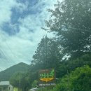 깊은산골농원