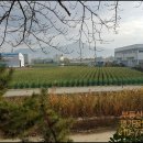 대광고등학교 정문 앞 이미지