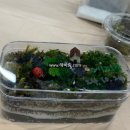 힐링원예 가드닝 이미지