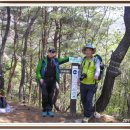 서촌초교 이미지