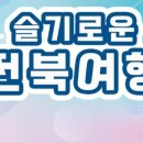 엔젤코바 이미지