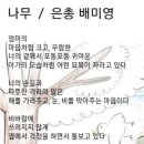 은총 이미지