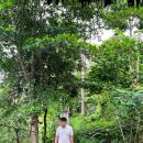 진생농장 | [발리여행] 루왁커피농장 'Kumulilir' 체험 후기