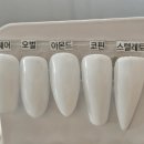 살롱드렌느 이미지